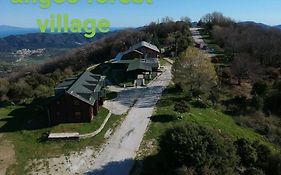 Pangeo Forest Village